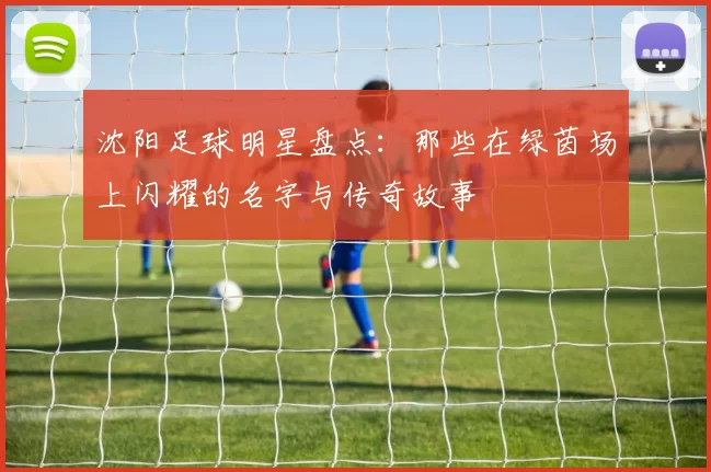 沈阳足球明星盘点：那些在绿茵场上闪耀的名字与传奇故事