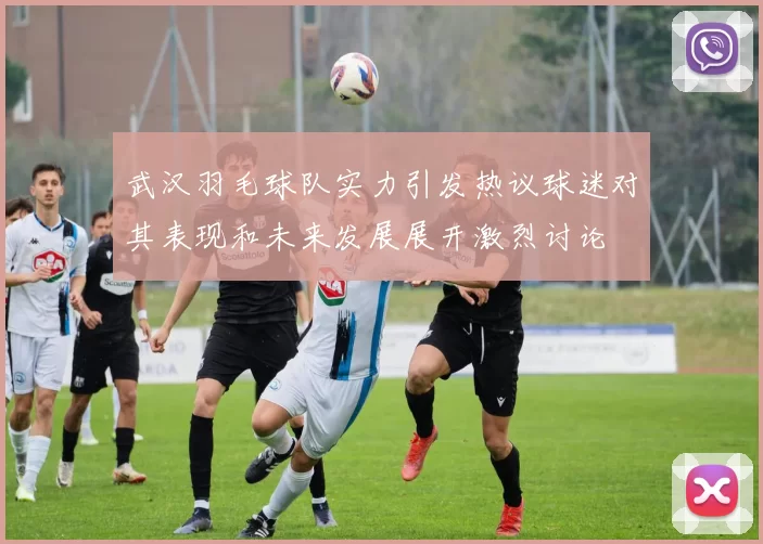 武汉羽毛球队实力引发热议球迷对其表现和未来发展展开激烈讨论