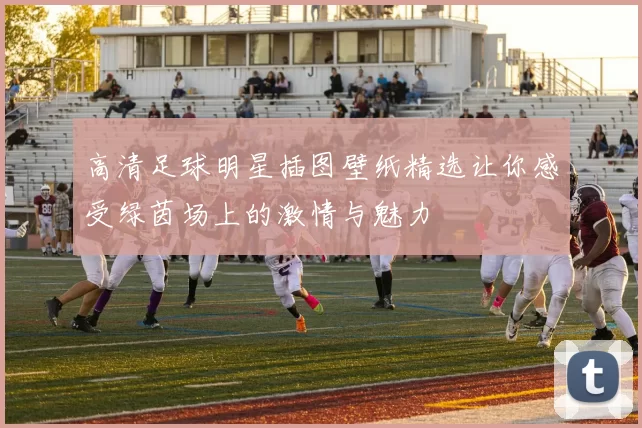 高清足球明星插图壁纸精选让你感受绿茵场上的激情与魅力