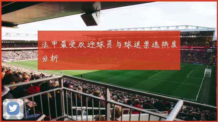 法甲最受欢迎球员与球迷票选热度分析