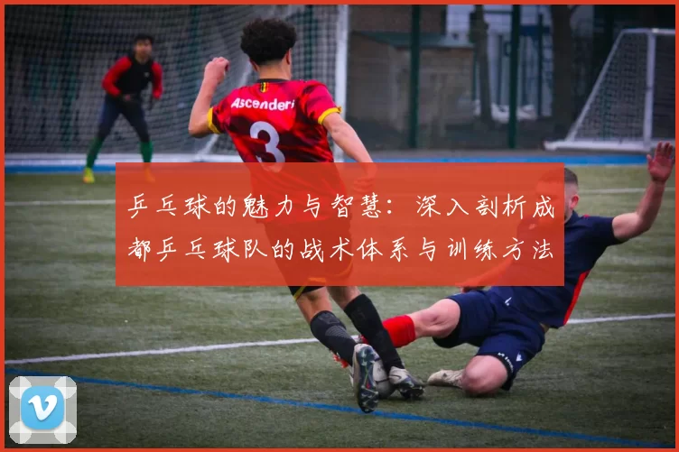 乒乓球的魅力与智慧：深入剖析成都乒乓球队的战术体系与训练方法
