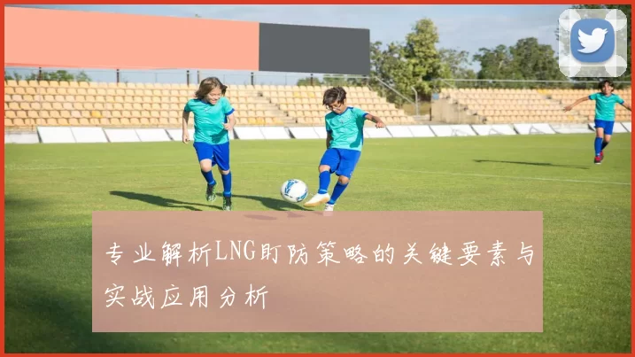 专业解析LNG盯防策略的关键要素与实战应用分析
