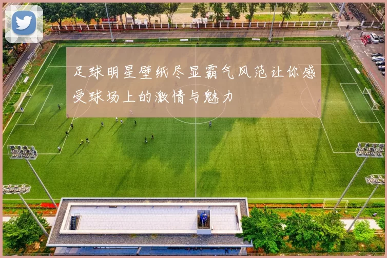 足球明星壁纸尽显霸气风范让你感受球场上的激情与魅力