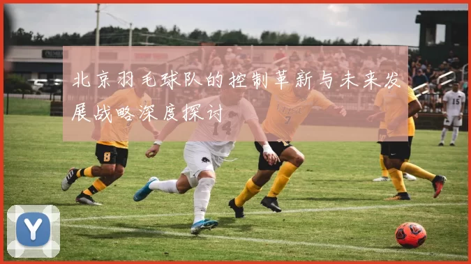 北京羽毛球队的控制革新与未来发展战略深度探讨