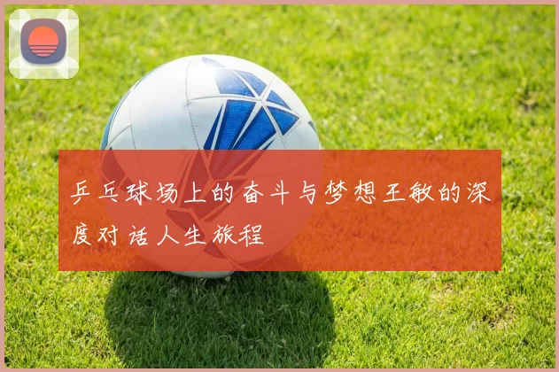 乒乓球场上的奋斗与梦想王敏的深度对话人生旅程