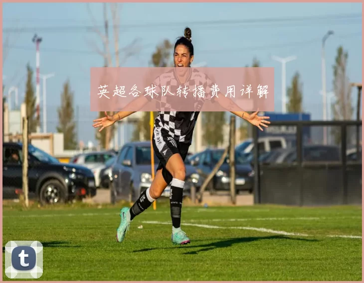 英超各球队转播费用详解