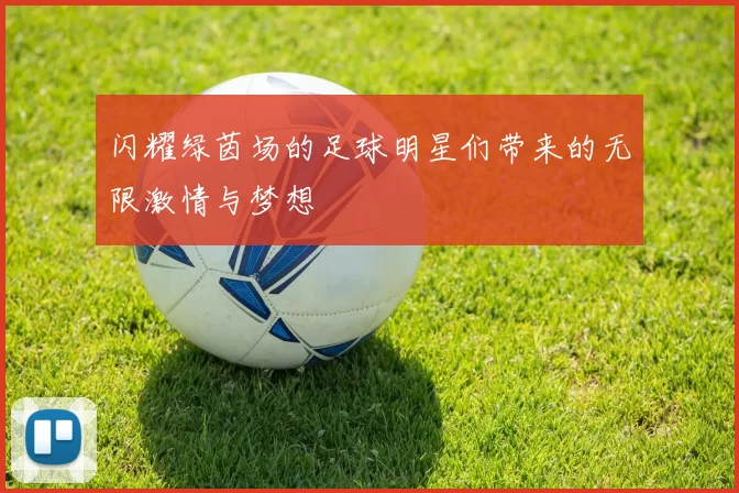 闪耀绿茵场的足球明星们带来的无限激情与梦想