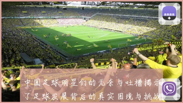 中国足球明星们的无奈与吐槽揭示了足球发展背后的真实困境与挑战