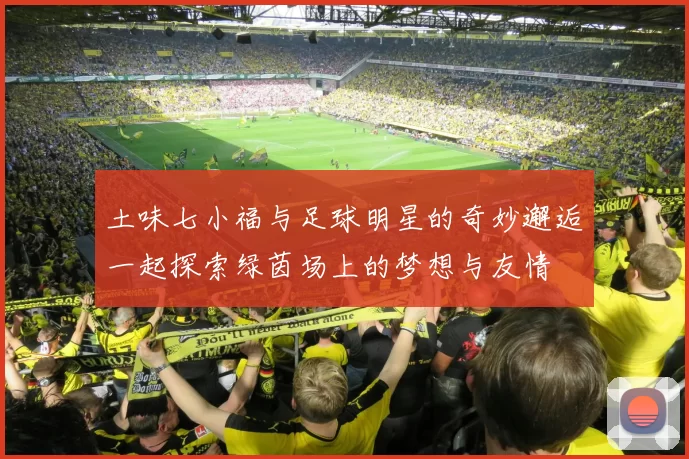 土味七小福与足球明星的奇妙邂逅一起探索绿茵场上的梦想与友情
