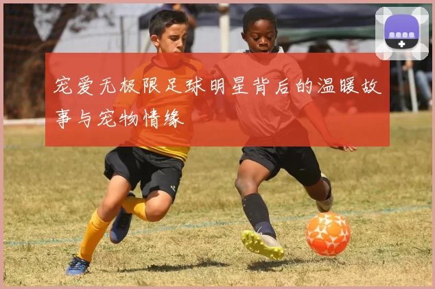宠爱无极限足球明星背后的温暖故事与宠物情缘