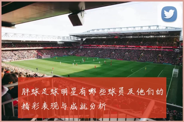 胖球足球明星有哪些球员及他们的精彩表现与成就分析