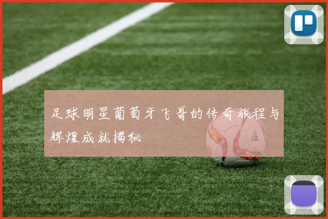 足球明星葡萄牙飞哥的传奇旅程与辉煌成就揭秘