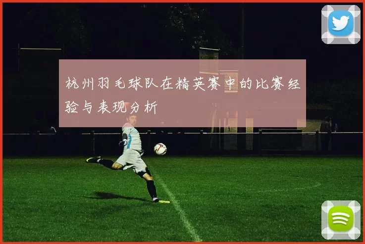 杭州羽毛球队在精英赛中的比赛经验与表现分析