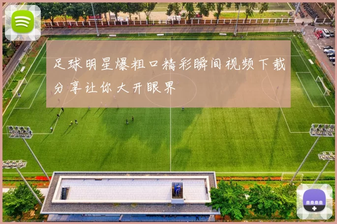 足球明星爆粗口精彩瞬间视频下载分享让你大开眼界