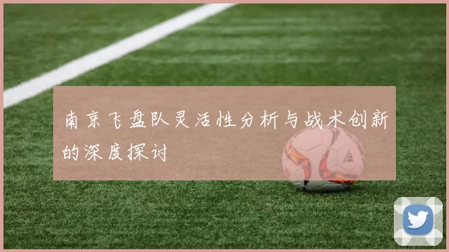 南京飞盘队灵活性分析与战术创新的深度探讨