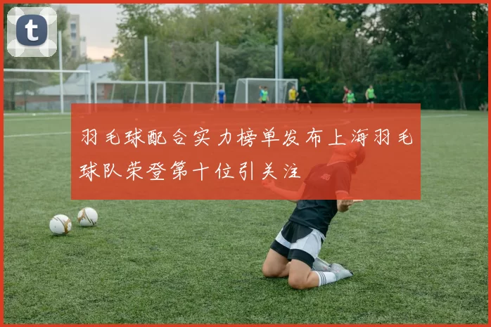 羽毛球配合实力榜单发布上海羽毛球队荣登第十位引关注